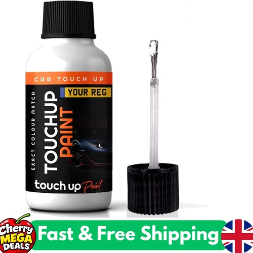 Custom matched touch paint - custom,